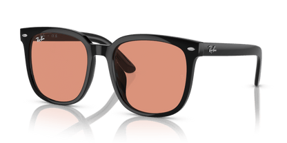 Black - 0RB4401D 8056262049846