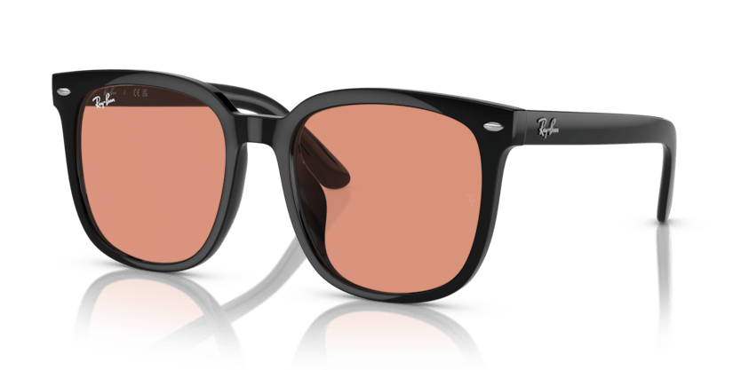 Black - 0RB4401D 8056262049846