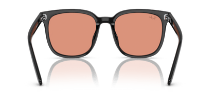 Black - 0RB4401D 8056262049846