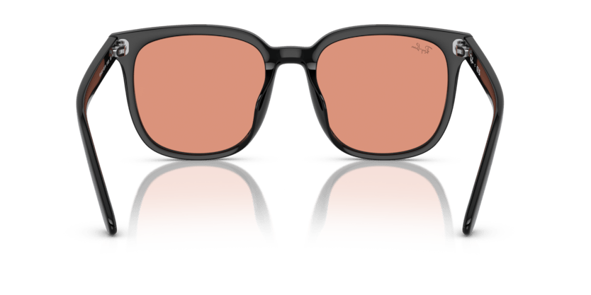 Black - 0RB4401D 8056262049846