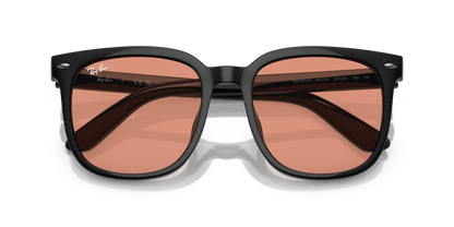 Black - 0RB4401D 8056262049846