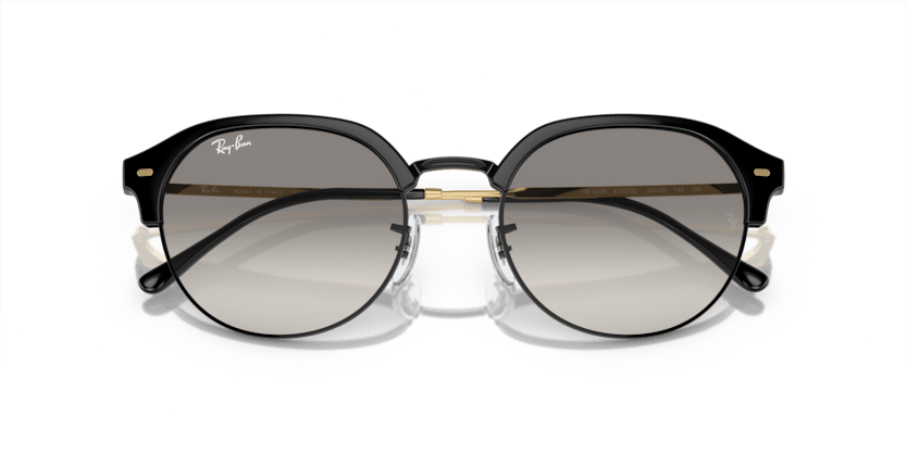 Black On Gold - 0RB4429 8056597939041