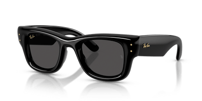 Ray-Ban RB4940 Black 8056262664865