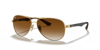 Arista Gold - 0RB8313 8053672006575