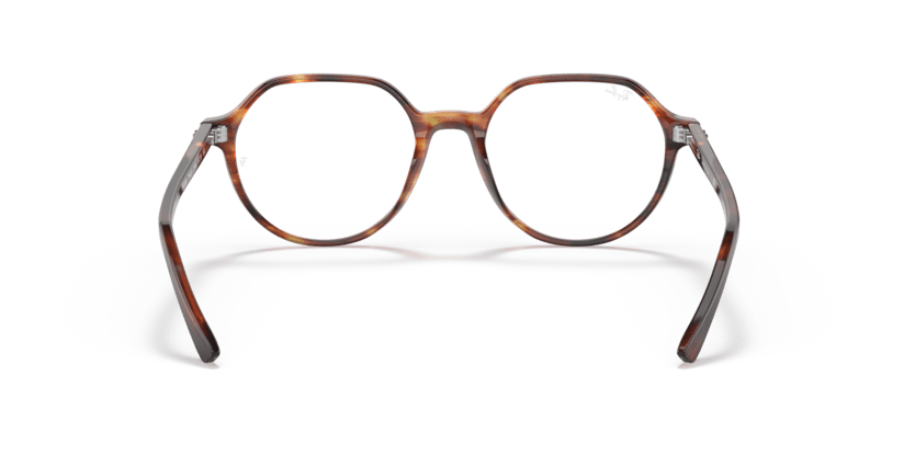 Striped Havana - 0RX5395 8056597364294