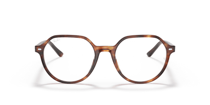 Striped Havana - 0RX5395 8056597364294