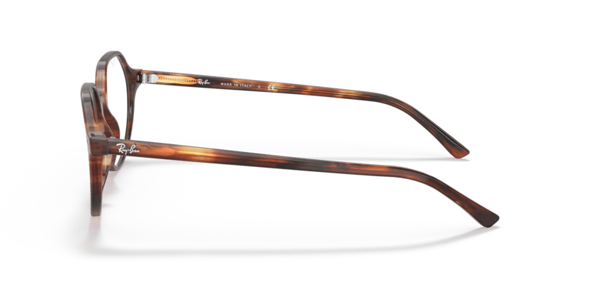 Striped Havana - 0RX5395 8056597364294