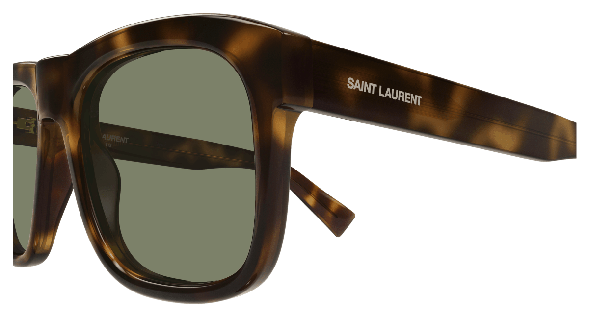 Saint Laurent SL 558 Havana 048 889652585048