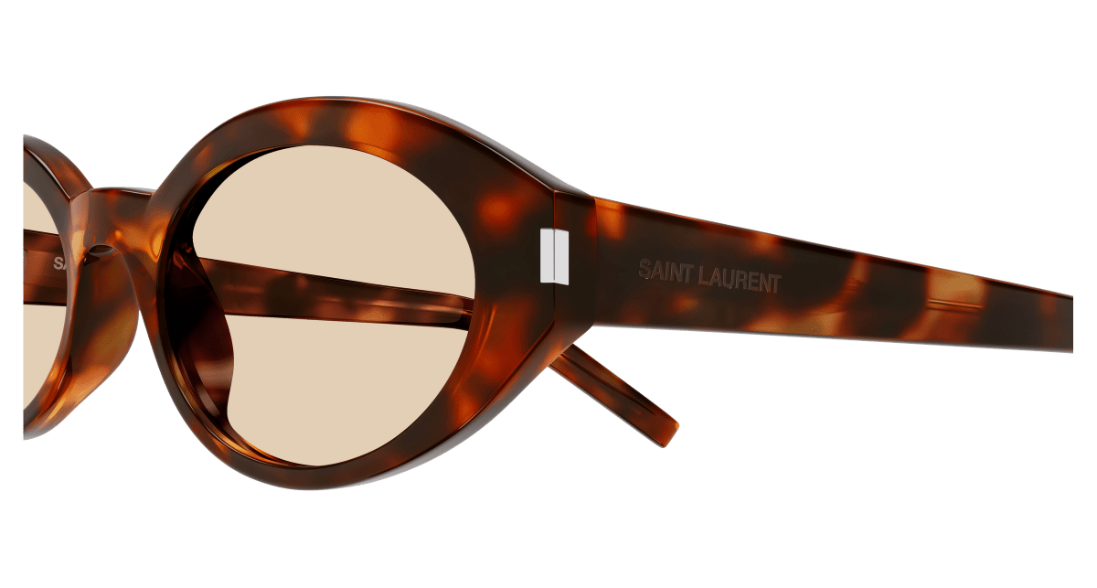 Saint Laurent SL 567 Havana 336 889652604336