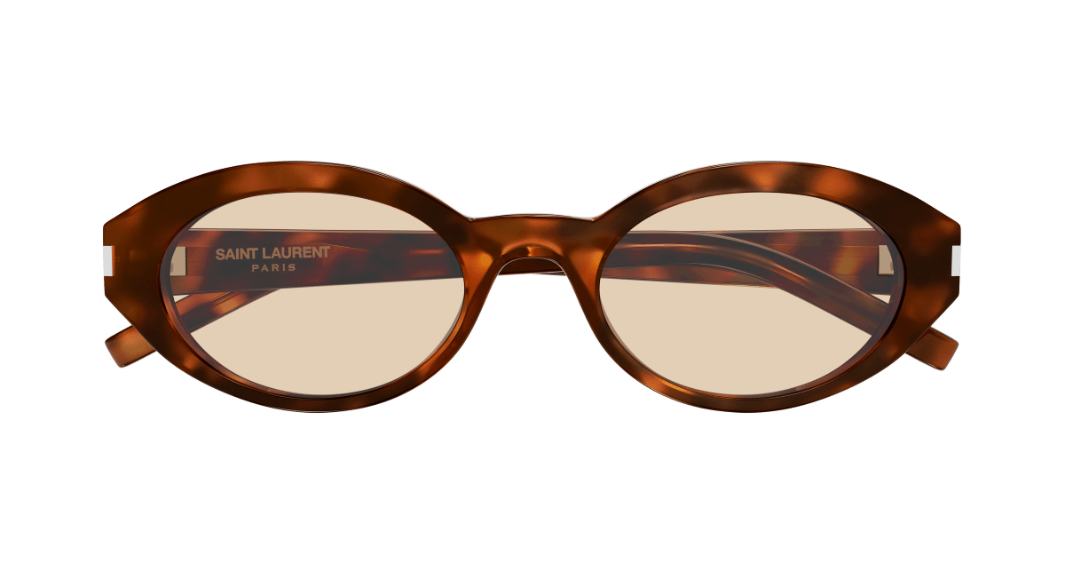 Saint Laurent SL 567 Havana 336 889652604336