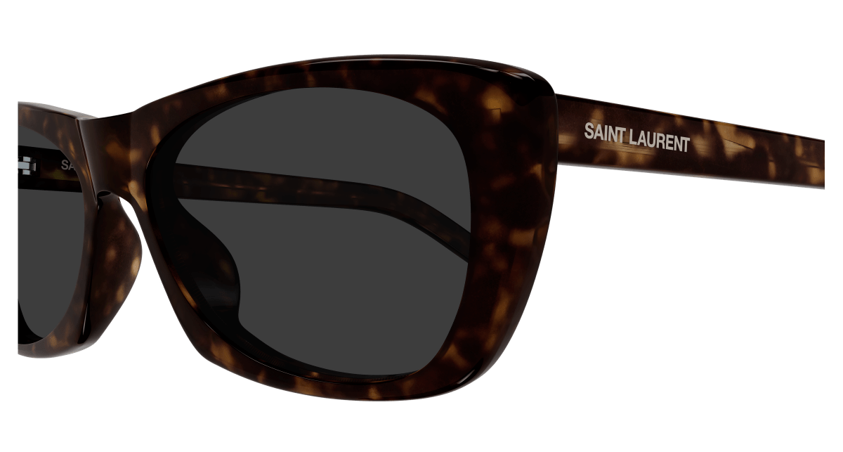 Saint Laurent SL 613 Havana 633 889652604633