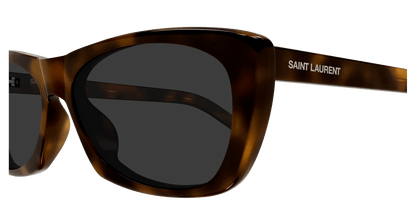 Saint Laurent SL 613 Havana 640 889652604640