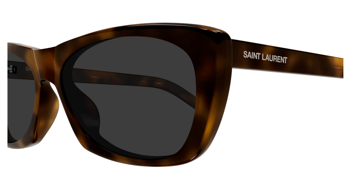 Saint Laurent SL 613 Havana 640 889652604640