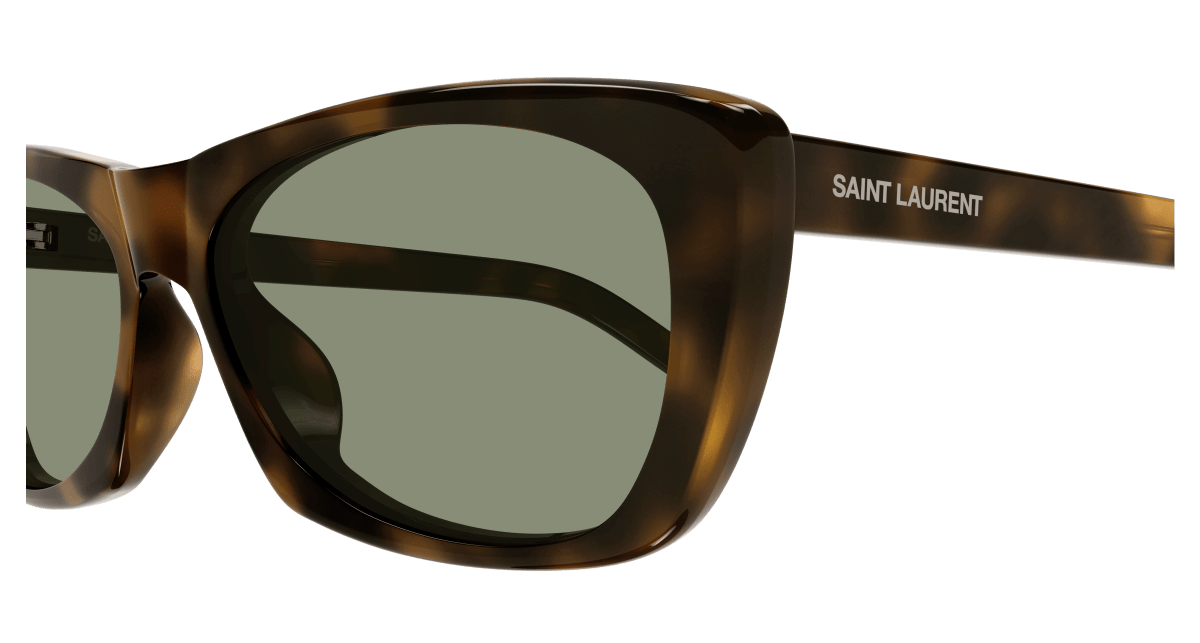 Saint Laurent SL 613 Havana (Green) 889652444840