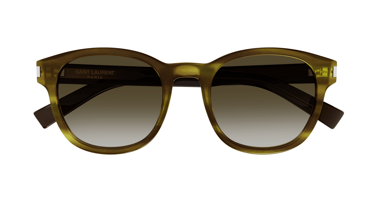 Saint Laurent SL 620 Havana (Brown) 889652445632