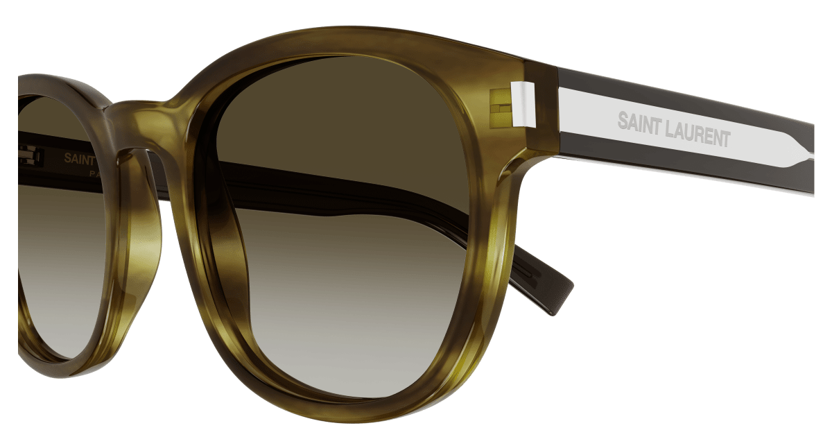 Saint Laurent SL 620 Havana (Brown) 889652445632