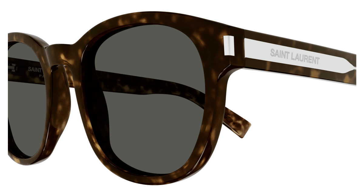 Saint Laurent SL 620 Havana 889652445601
