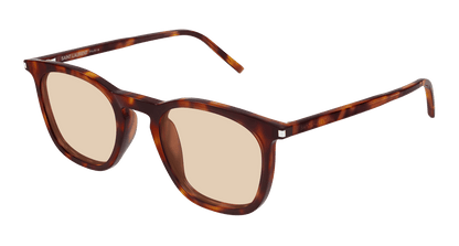 Saint Laurent SL 623 Havana 367 889652604367