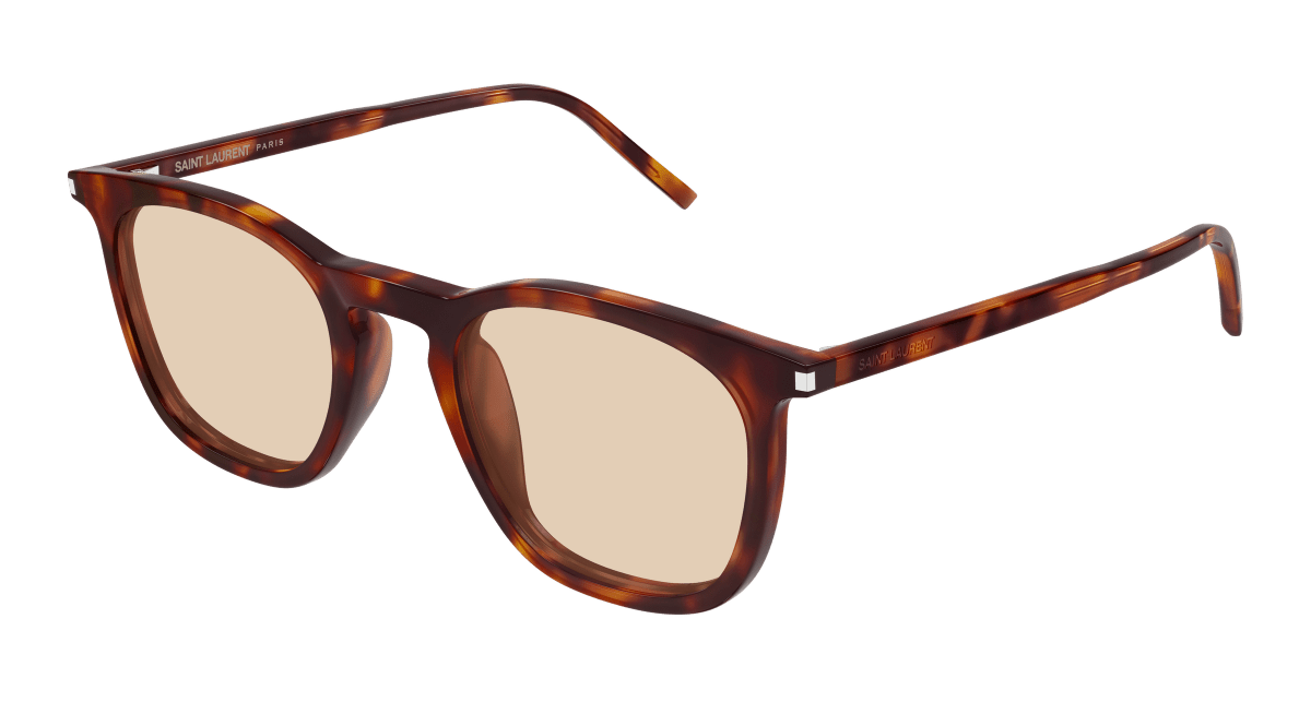 Saint Laurent SL 623 Havana 367 889652604367