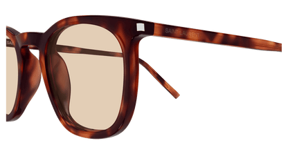 Saint Laurent SL 623 Havana 367 889652604367