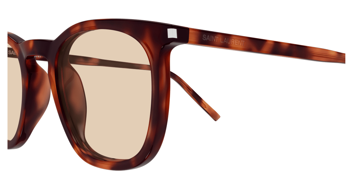 Saint Laurent SL 623 Havana 367 889652604367