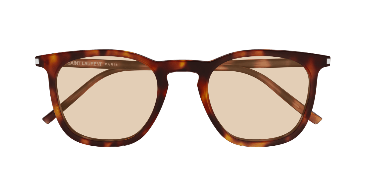 Saint Laurent SL 623 Havana 367 889652604367