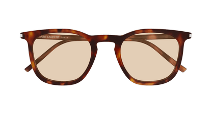 Saint Laurent SL 623 Havana 367 889652604367