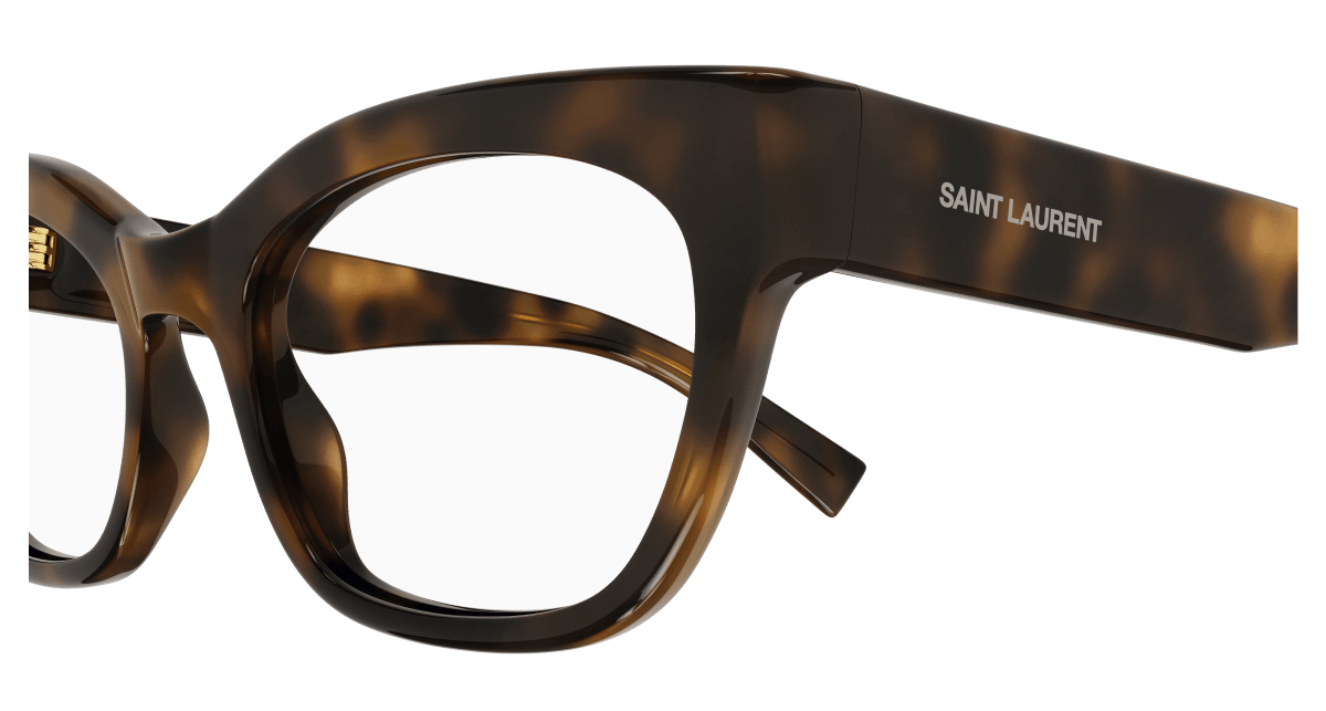 Saint Laurent SL 643 Havana 889652453712