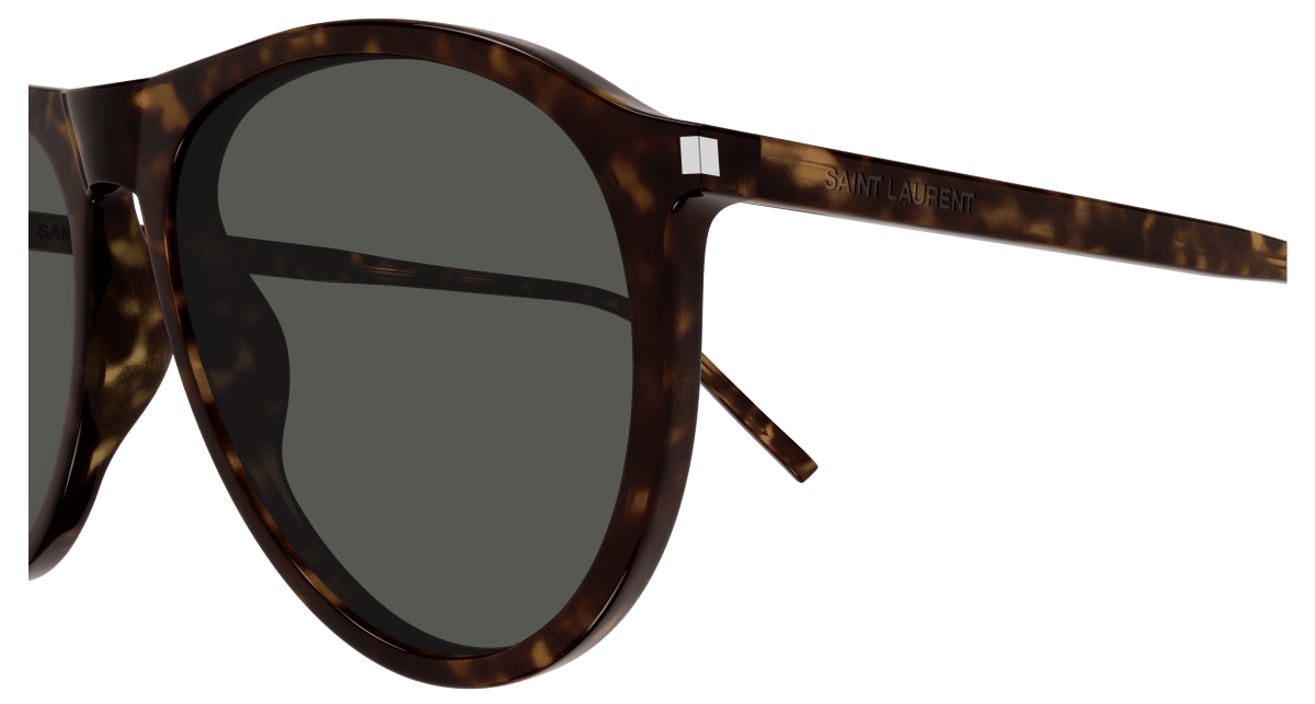 Saint Laurent SL 667 Havana 889652487014