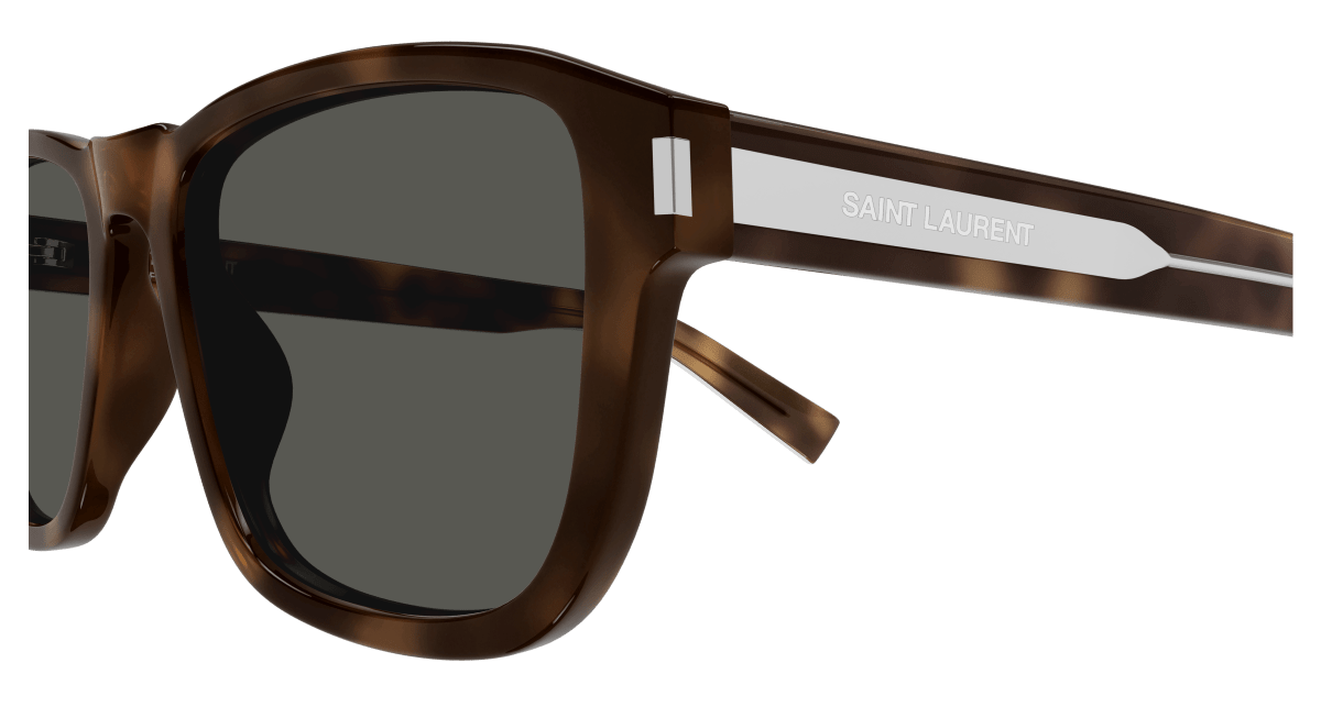 Saint Laurent SL 710 Havana (Grey) 889652516660