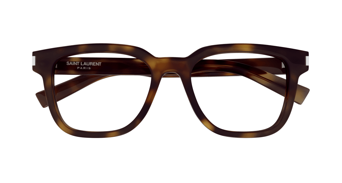Saint Laurent SL 711 OPT Havana (Transparent) 889652516943