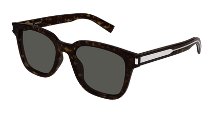 Saint Laurent SL 711/K Havana 820 889652516820