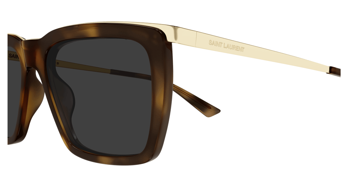 Saint Laurent SL 765 Havana 889652555386