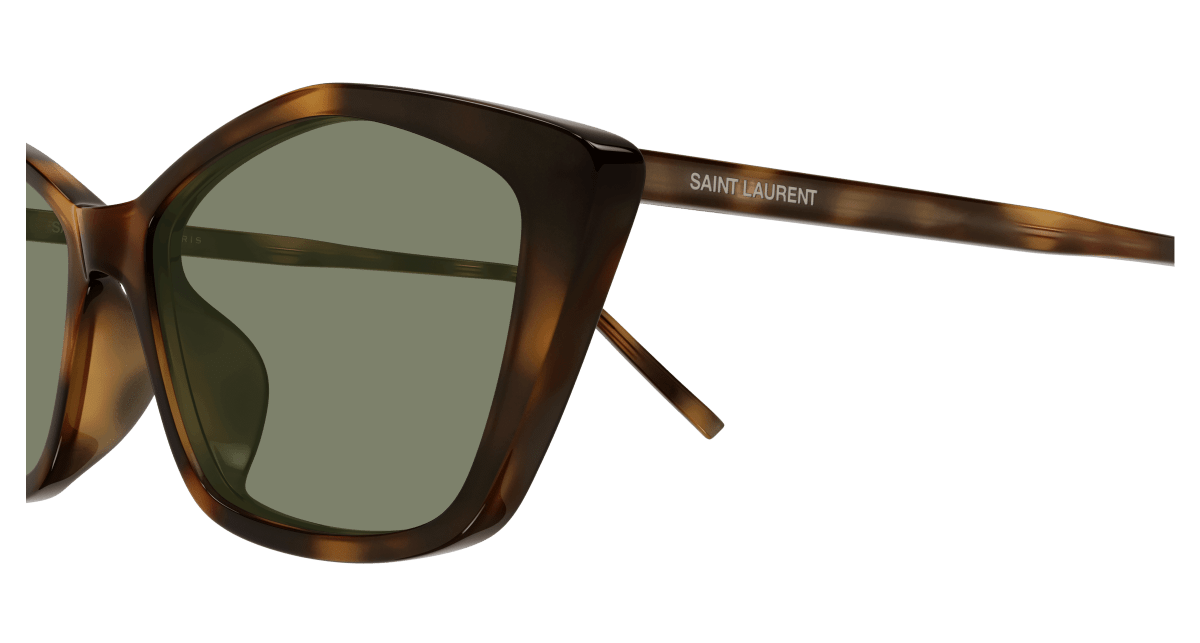 Saint Laurent SL 775 Havana (Green) 889652554563