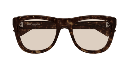 Saint Laurent SL 816 Havana 383 889652585383