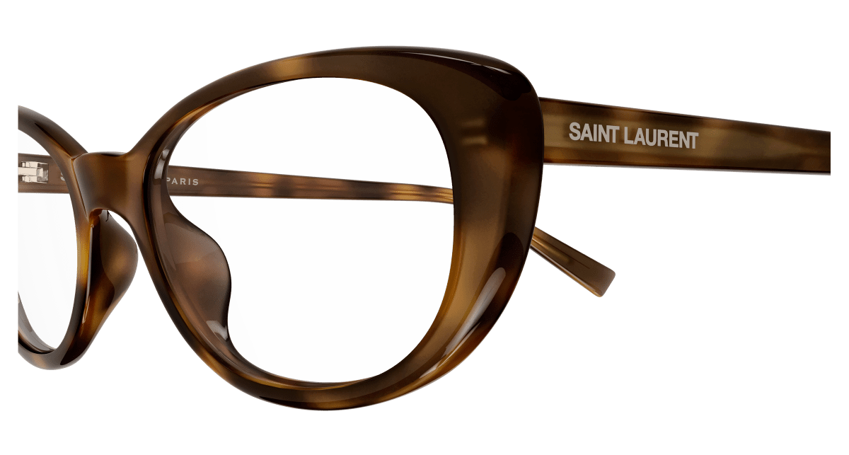 Saint Laurent SL 822 OPT Havana 879 889652604879
