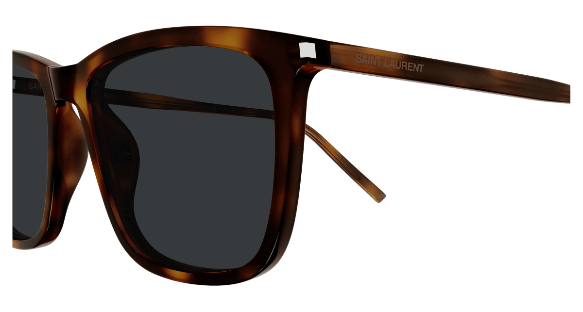 Saint Laurent SL 851 Havana 892 889652614892