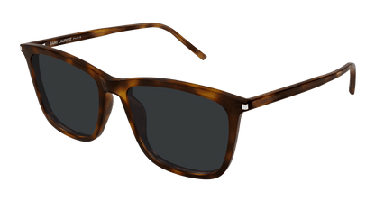 Saint Laurent SL 851/K Havana 953 889652614953