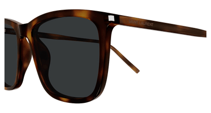 Saint Laurent SL 851/K Havana 953 889652614953
