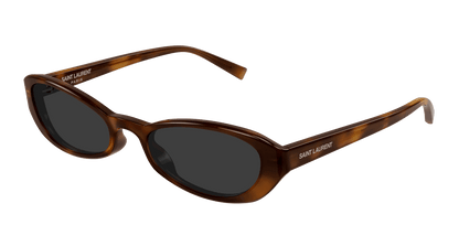 Saint Laurent SL 871 SUE Havana 807 889652650807
