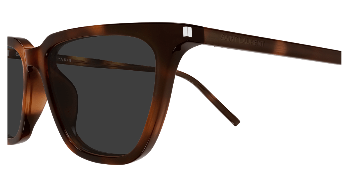 Saint Laurent SL 889 SULPICE THIN Havana 446 889652651446