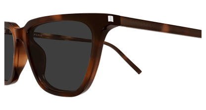 Saint Laurent SL 889 SULPICE THIN Havana 446 889652651446
