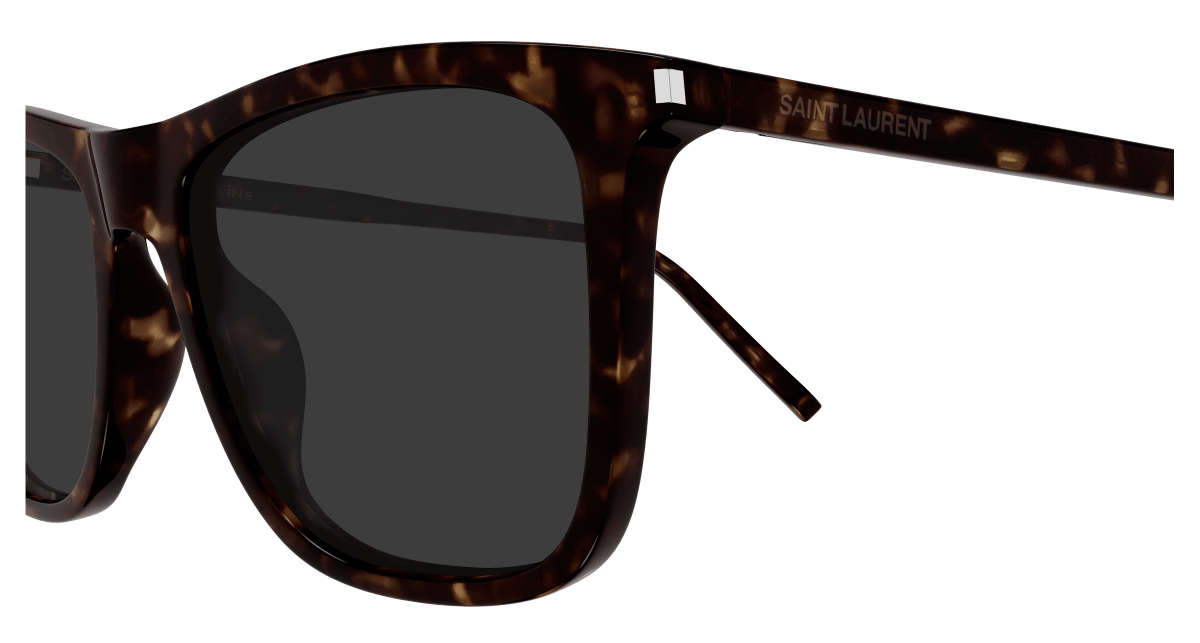 Saint Laurent SL 895 Havana 889652651651