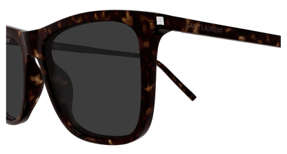 Saint Laurent SL 895 Havana 889652651651