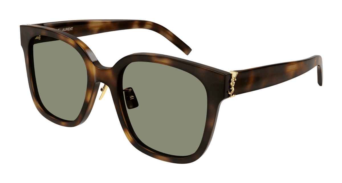 Saint Laurent SL M105/F Havana 889652404370