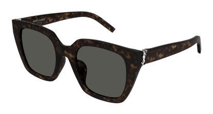 Saint Laurent SL M143 Havana 411 889652521411