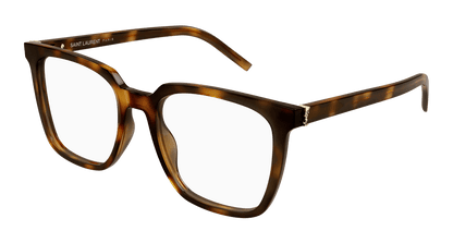 Saint Laurent SL M146 OPT Havana 338 889652556338