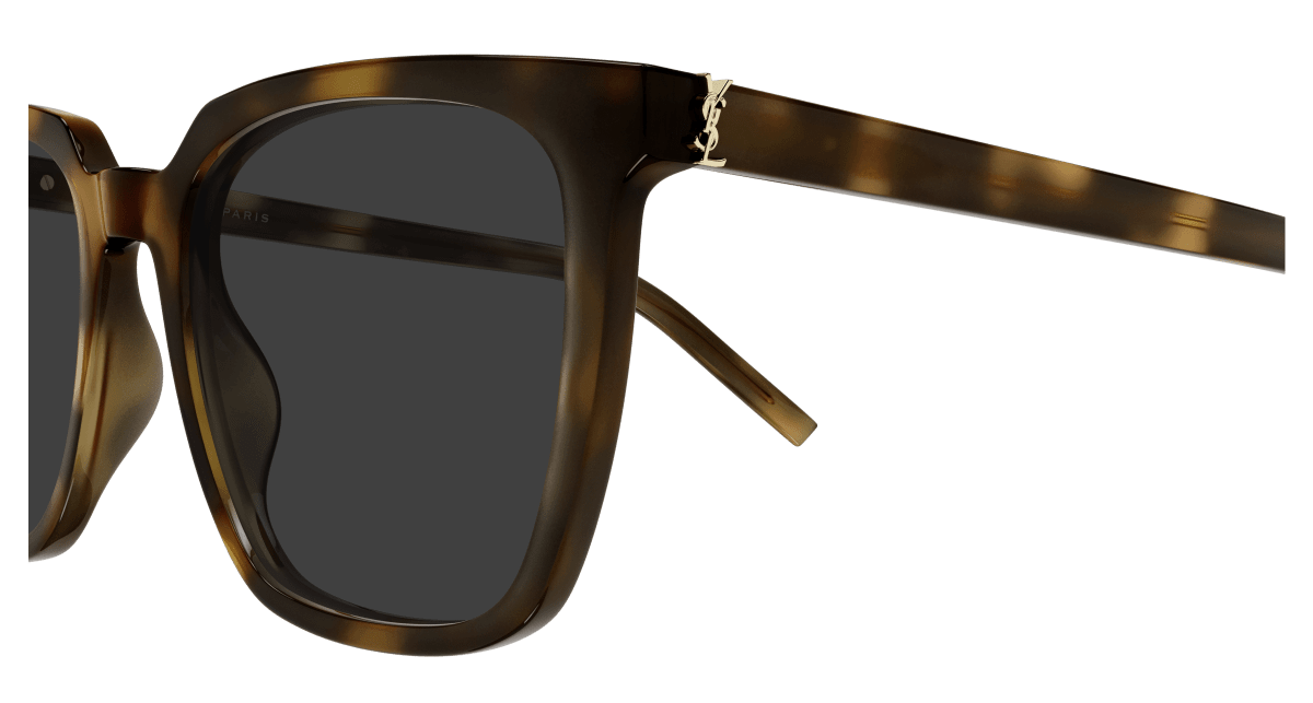 Saint Laurent SL M146 Havana 898 889652555898