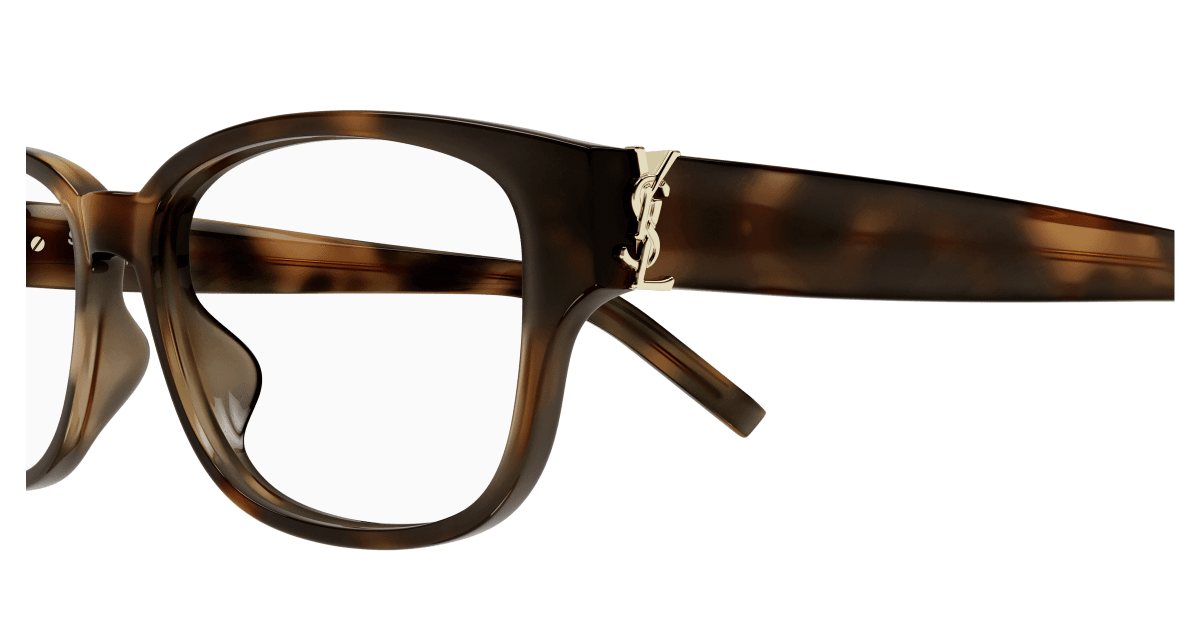 Saint Laurent SL M149/F Havana 959 889652555959