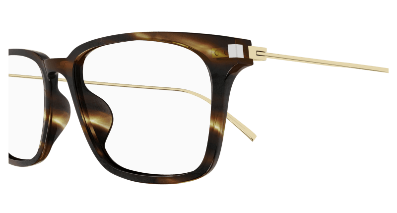 Havana Eyeglasses Saint Laurent 889652445991